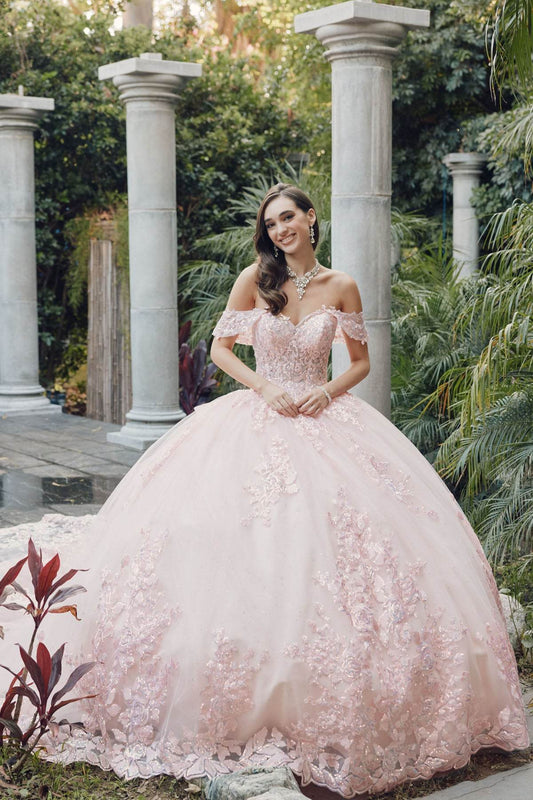 Juliet Off-The-Shoulder Embroidery Back Bow Quinceanera Ball Gown - JT1458J - Rosa Apparel