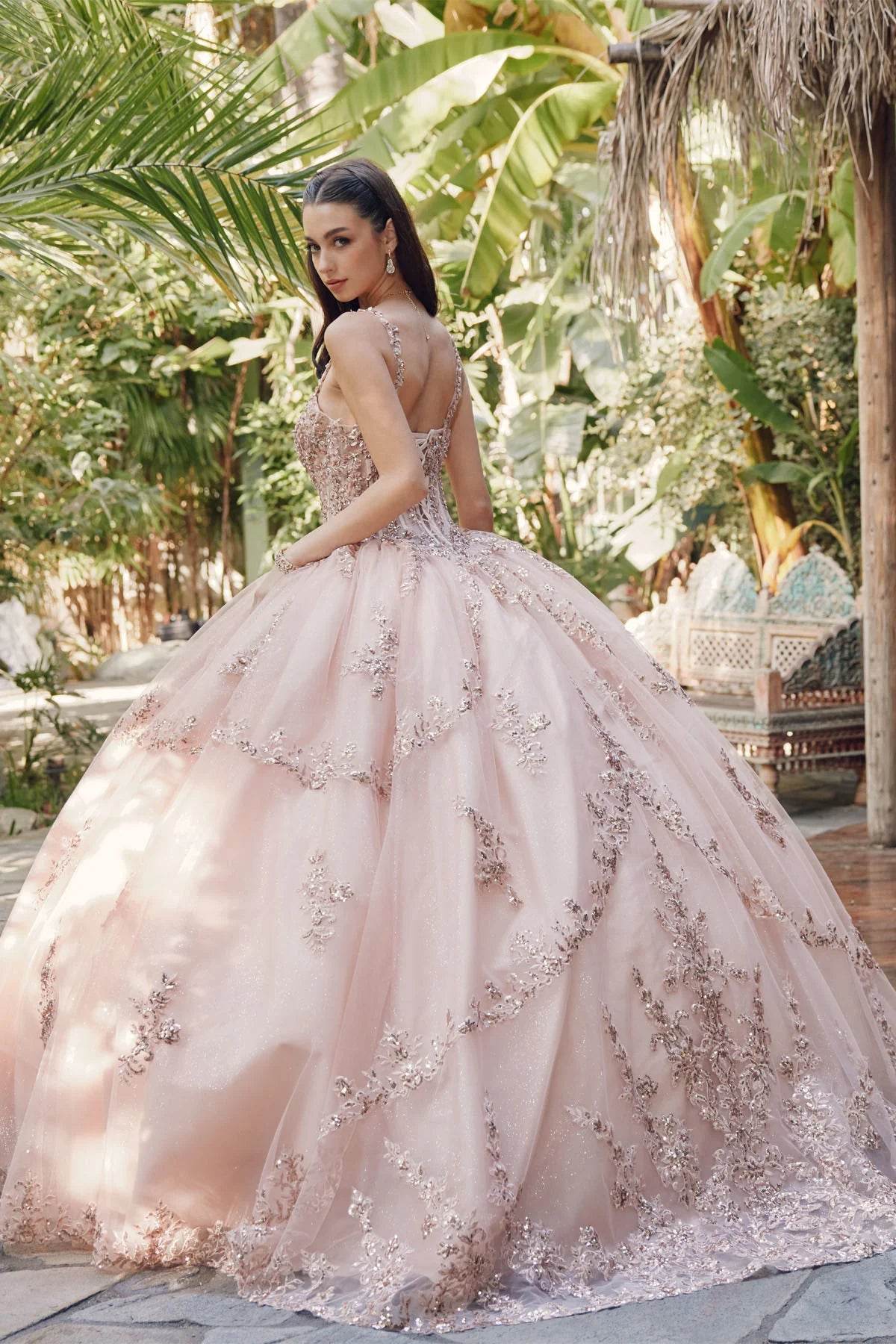 Juliet Embroidered Sleeveless Corset Quinceañera Ball Gown JT1450J - Rosa Apparel