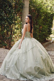 Juliet Embroidered Sleeveless Corset Quinceañera Ball Gown JT1450J - Rosa Apparel