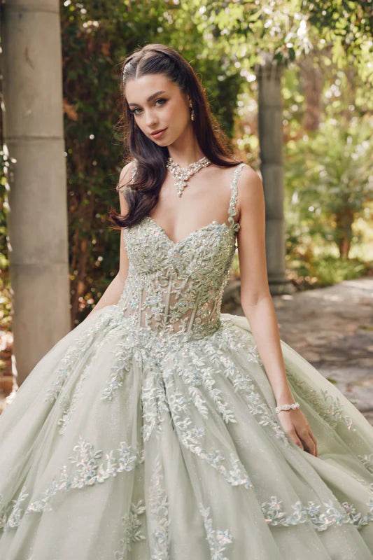 Juliet Embroidered Sleeveless Corset Quinceañera Ball Gown JT1450J - Rosa Apparel