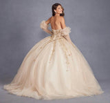Juliet 3D Floral Puff Sleeve Ball Gown JT1465H - Rosa Apparel