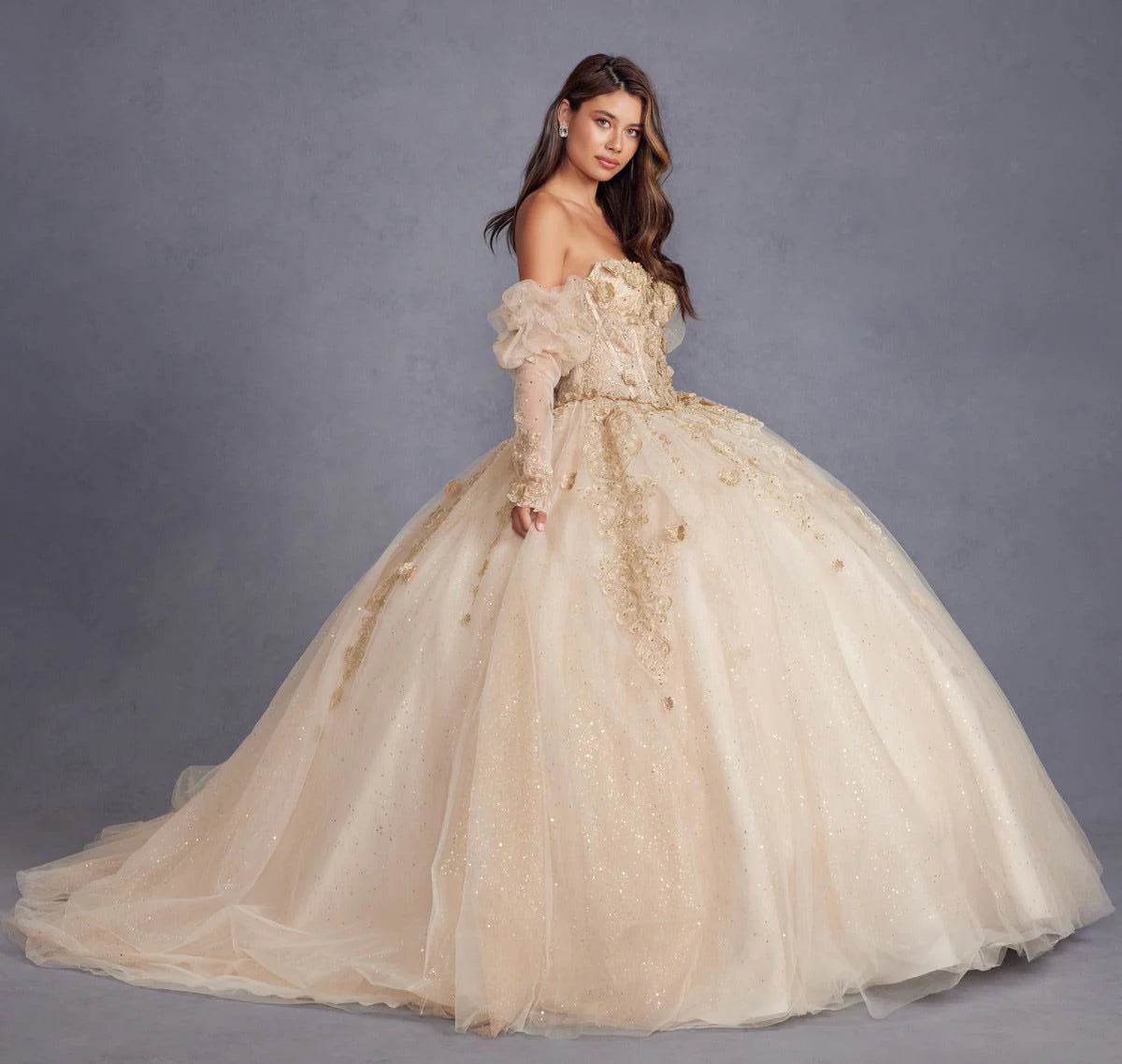 Juliet 3D Floral Puff Sleeve Ball Gown JT1465H - Rosa Apparel
