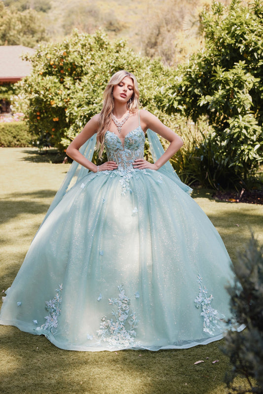 Juliet 3D Multi Floral Applique and Cape Sleeve Quinceañera Dress JT1466H