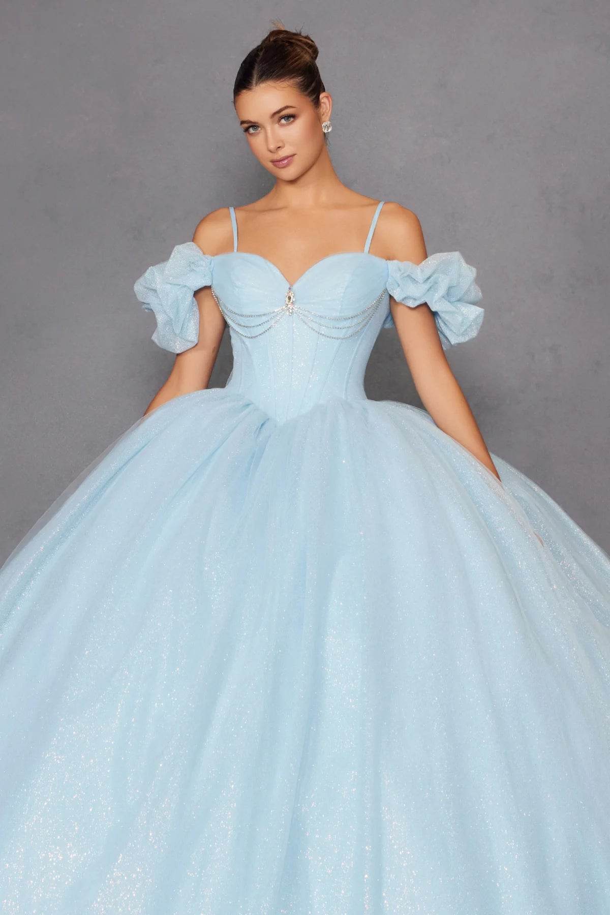 Juliet Glitter Tulle Off-Shoulder Quinceañera Ball Gown JT1487H - Rosa Apparel