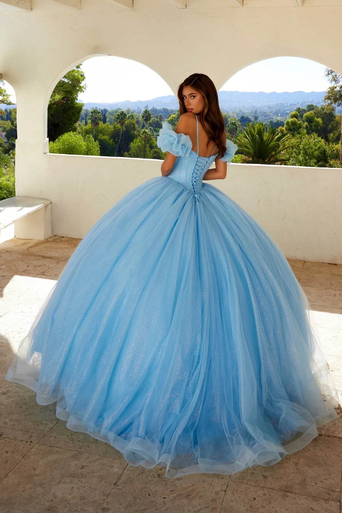 Juliet Glitter Tulle Off-Shoulder Quinceañera Ball Gown JT1487H - Rosa Apparel