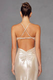 Juliet Radiant Metallic Sleeveless V-Neck Slit Gown JT2502A - Rosa Apparel