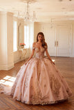 Juliet 3D Butterfly Off Shoulder Quinceañera Ball Gown JT1485J - Rosa Apparel