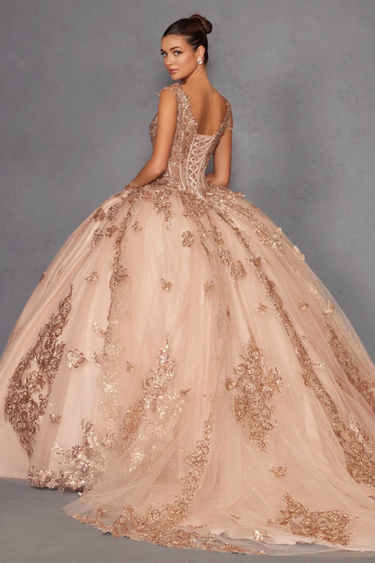 Juliet 3D Butterfly Off Shoulder Quinceañera Ball Gown JT1485J - Rosa Apparel