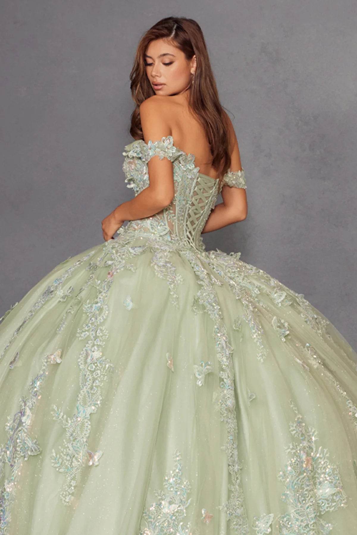 Juliet 3D Butterfly Off Shoulder Quinceañera Ball Gown JT1485J - Rosa Apparel