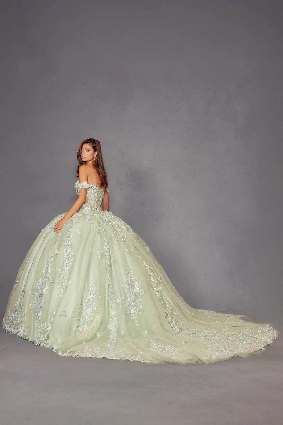 Juliet 3D Butterfly Off Shoulder Quinceañera Ball Gown JT1485J - Rosa Apparel