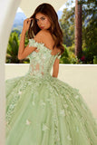 Juliet 3D Butterfly Off Shoulder Quinceañera Ball Gown JT1485J - Rosa Apparel