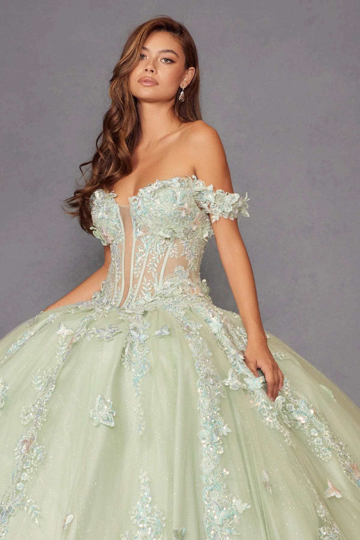 Juliet 3D Butterfly Off Shoulder Quinceañera Ball Gown JT1485J - Rosa Apparel