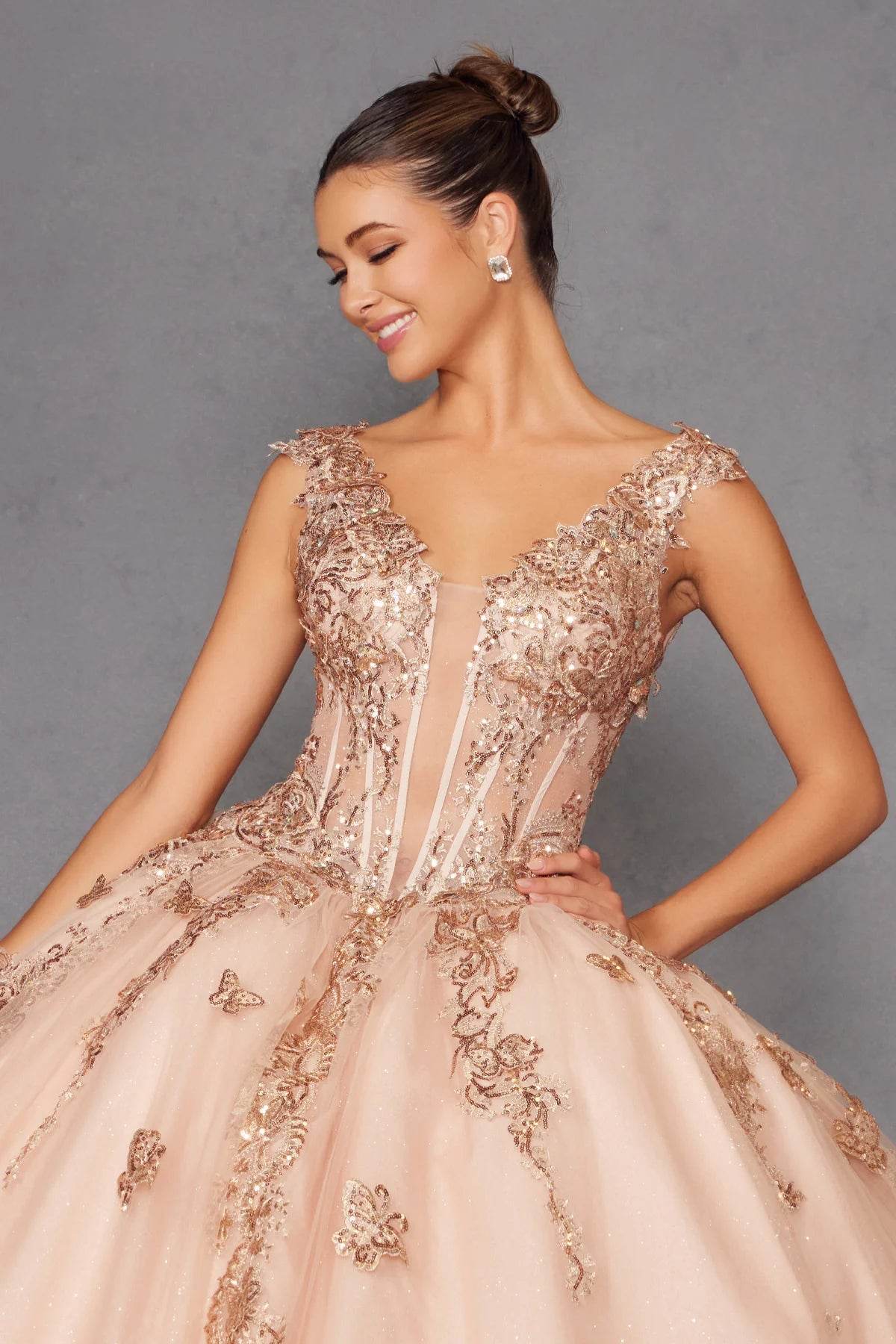 Juliet 3D Butterfly Off Shoulder Quinceañera Ball Gown JT1485J - Rosa Apparel