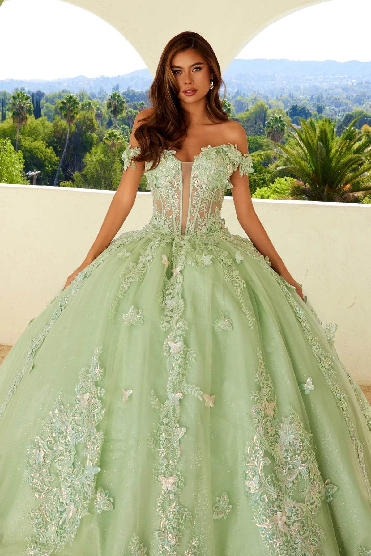 Juliet 3D Butterfly Off Shoulder Quinceañera Ball Gown JT1485J - Rosa Apparel