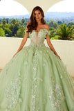Juliet 3D Butterfly Off Shoulder Quinceañera Ball Gown JT1485J - Rosa Apparel