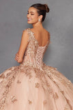Juliet 3D Butterfly Off Shoulder Quinceañera Ball Gown JT1485J - Rosa Apparel