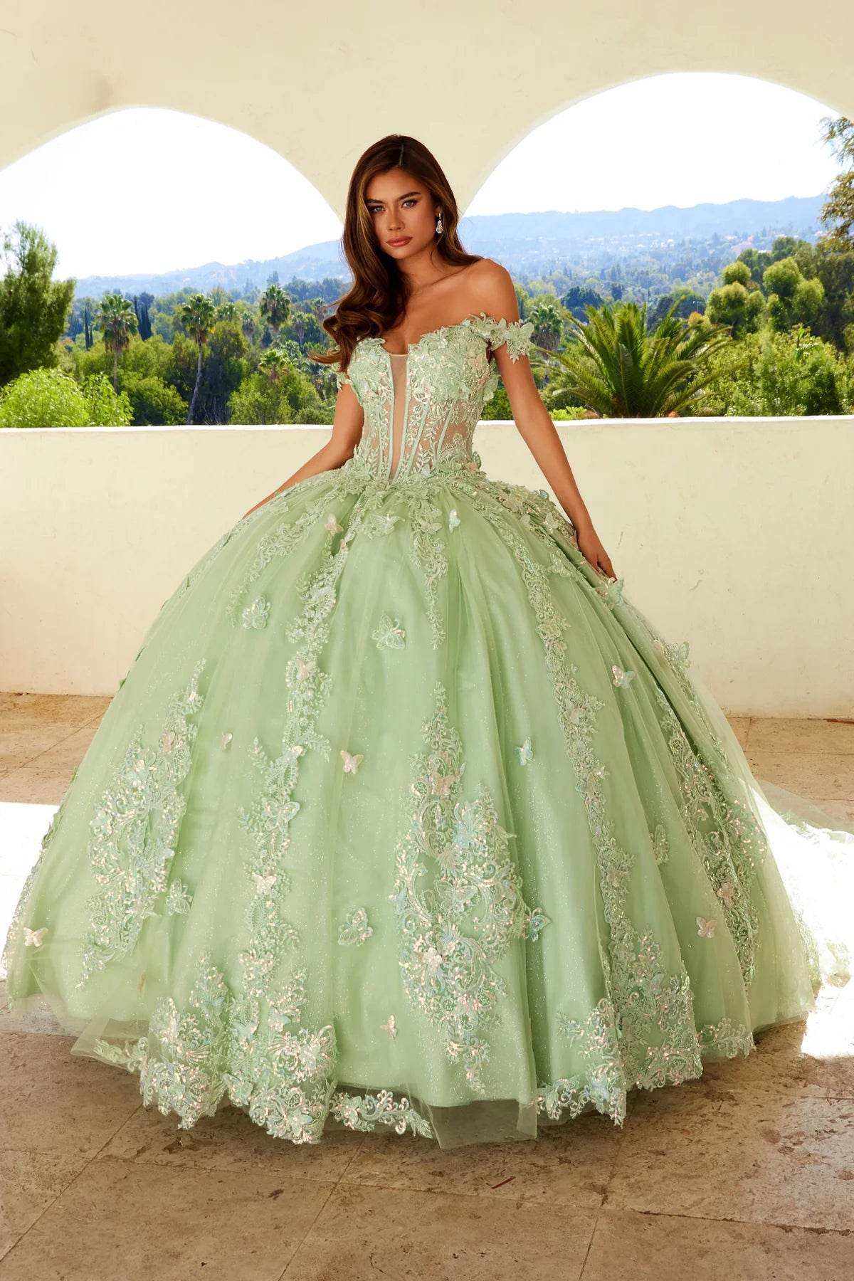Juliet 3D Butterfly Off Shoulder Quinceañera Ball Gown JT1485J - Rosa Apparel