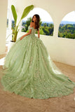 Juliet 3D Butterfly Off Shoulder Quinceañera Ball Gown JT1485J - Rosa Apparel