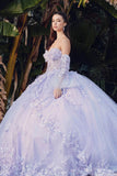 Juliet 3D Floral Strapless Bell Sleeve Quinceañera Ball Gown JT1459J - Rosa Apparel