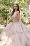 Juliet Embroidered Sleeveless Corset Quinceañera Ball Gown JT1450J - Rosa Apparel