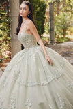 Juliet Embroidered Sleeveless Corset Quinceañera Ball Gown JT1450J - Rosa Apparel