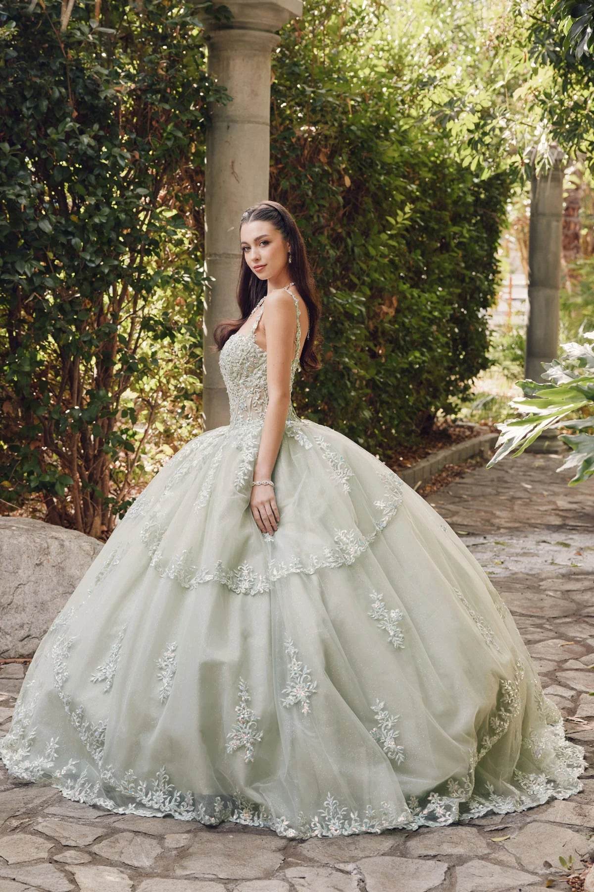 Juliet Embroidered Sleeveless Corset Quinceañera Ball Gown JT1450J - Rosa Apparel