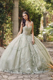 Juliet Embroidered Sleeveless Corset Quinceañera Ball Gown JT1450J - Rosa Apparel