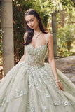 Juliet Embroidered Sleeveless Corset Quinceañera Ball Gown JT1450J - Rosa Apparel