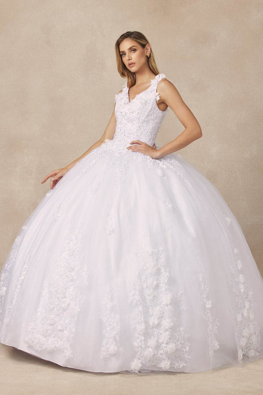 Juliet Floral Applique Quinceanera Ball Gown with 3D Flowers - 1437W - Rosa Apparel