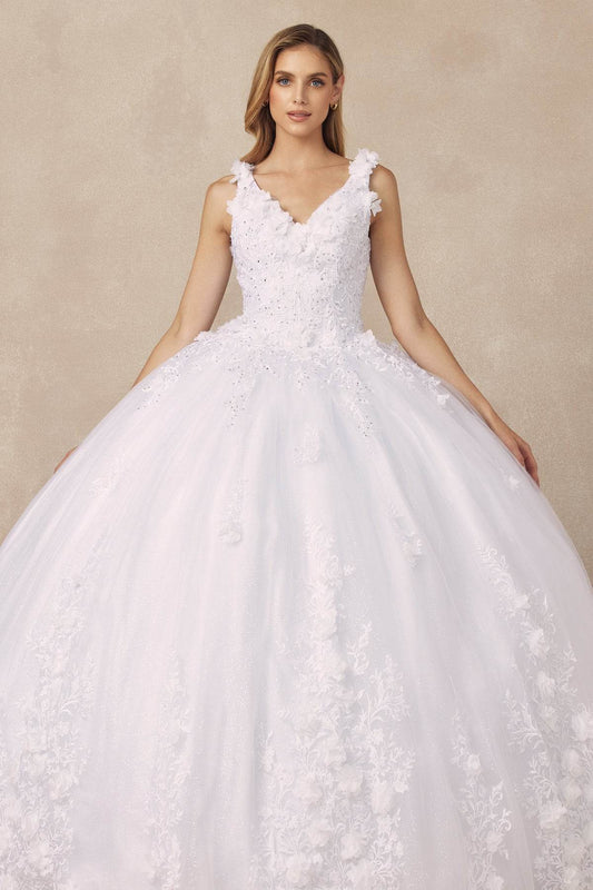 Juliet Floral Applique Quinceanera Ball Gown with 3D Flowers - 1437W - Rosa Apparel