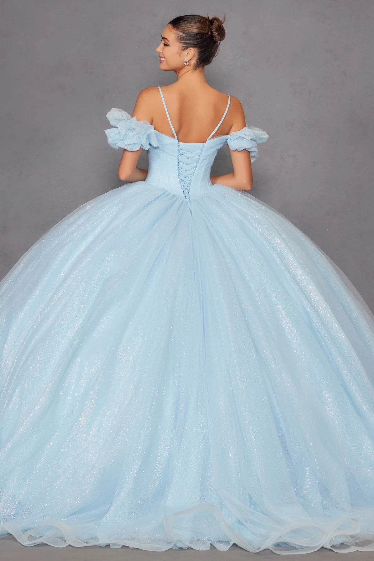 Juliet Glitter Tulle Off-Shoulder Quinceañera Ball Gown JT1487H - Rosa Apparel