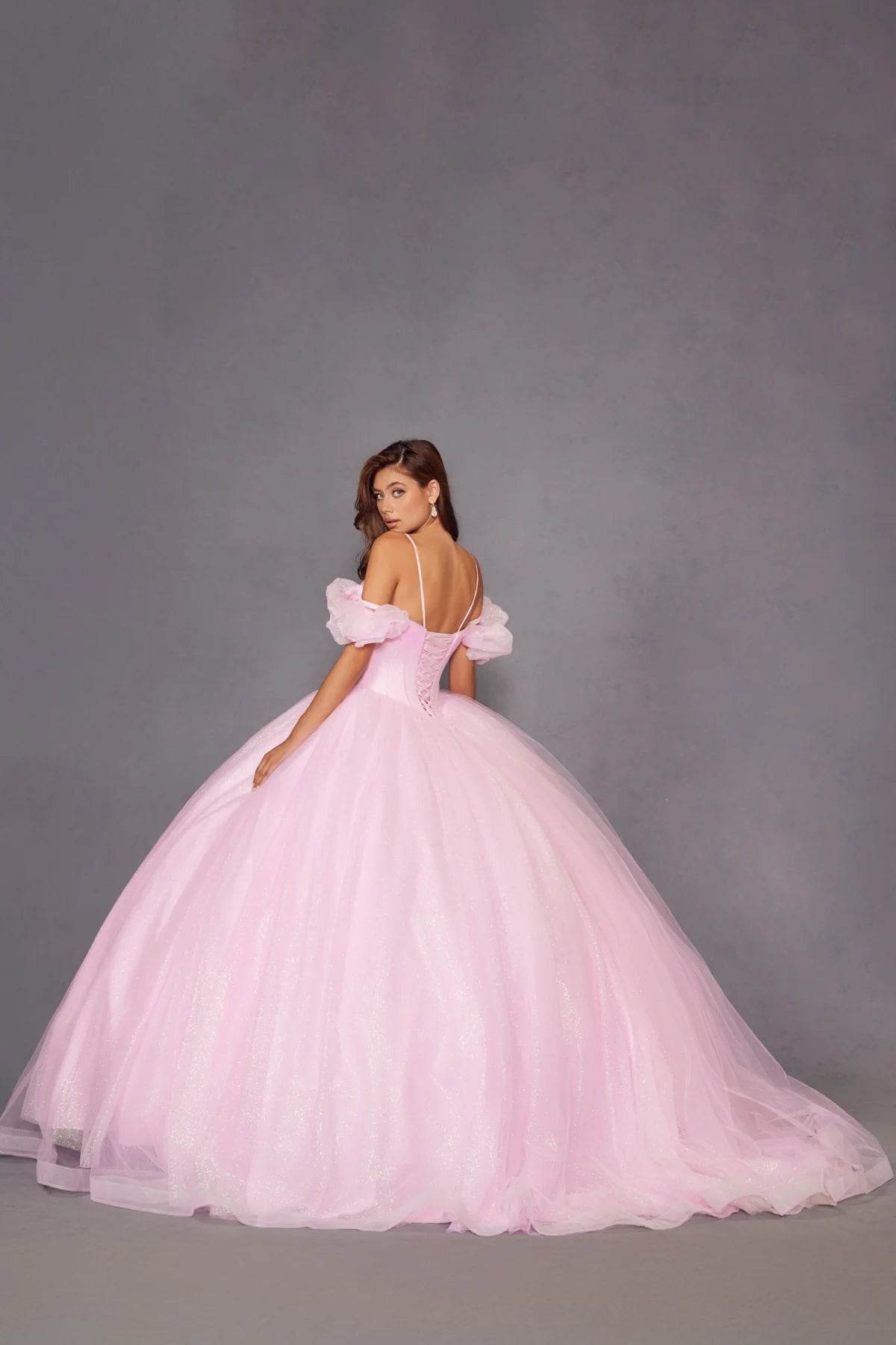 Juliet Glitter Tulle Off-Shoulder Quinceañera Ball Gown JT1487H - Rosa Apparel