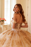 Juliet Off-Shoulder Embroidered Quinceanera Ball Gown - JT1488H - Rosa Apparel