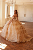 Juliet Off-Shoulder Embroidered Quinceanera Ball Gown - JT1488H - Rosa Apparel