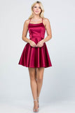 La Scala Fit And Flare Satin Like Sleeveless Lace Up Mini Dress - Rosa Apparel