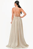 La Scala Sleeveless Back Lace Up Glitter Gown - Rosa Apparel